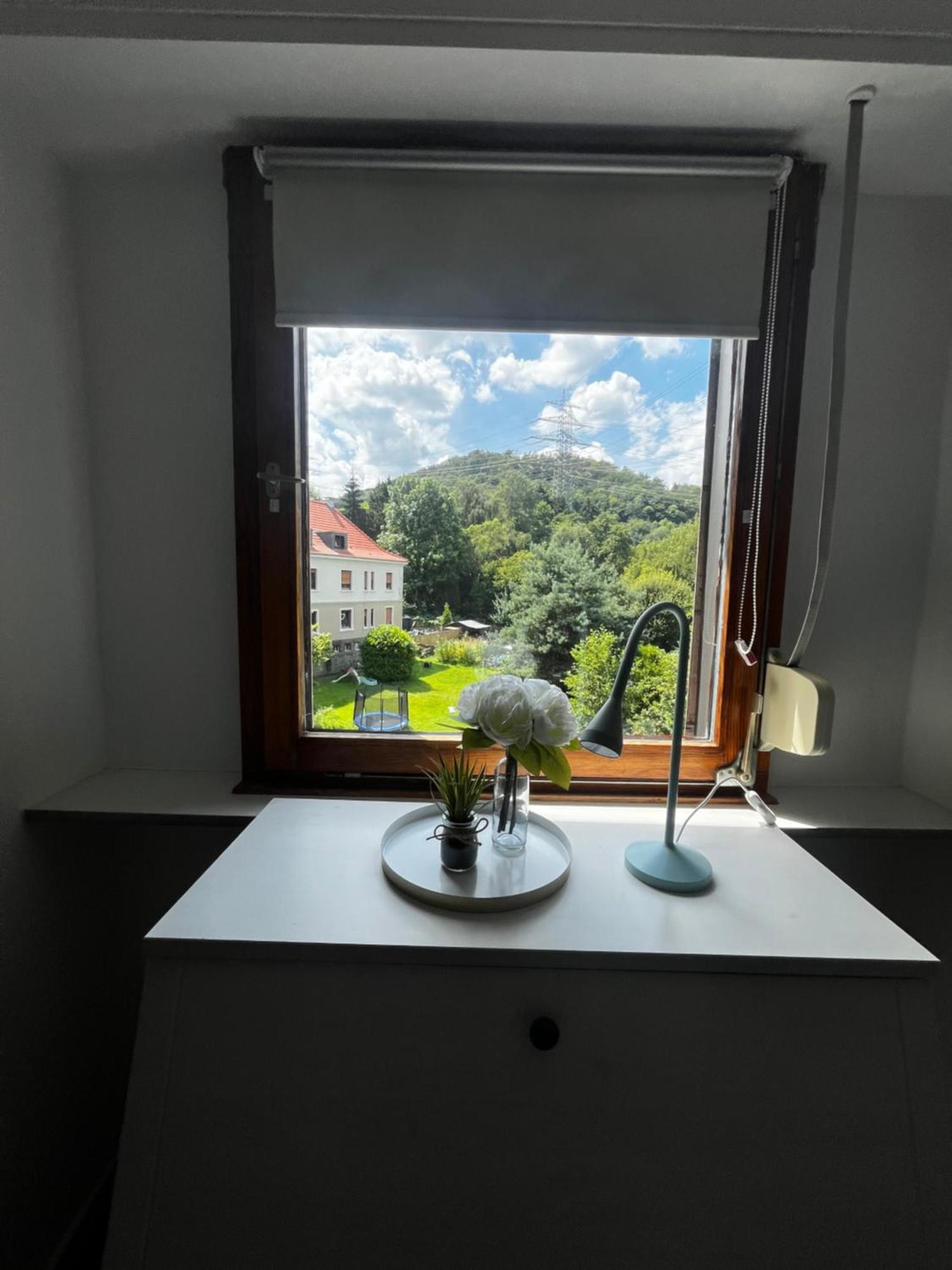 Idyllisch Wohnen An Der Ruhr Hattingen Exterior foto