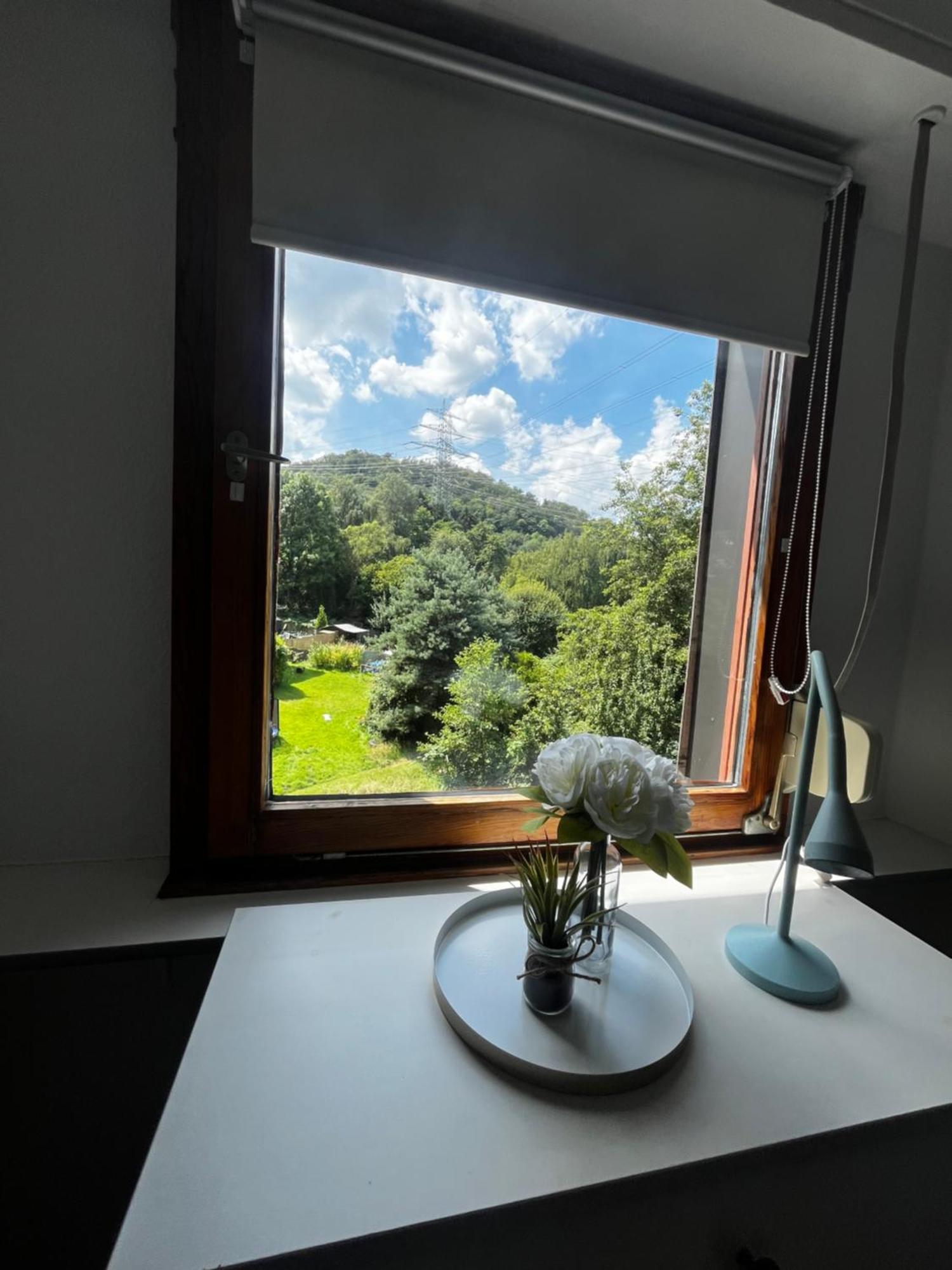 Idyllisch Wohnen An Der Ruhr Hattingen Exterior foto
